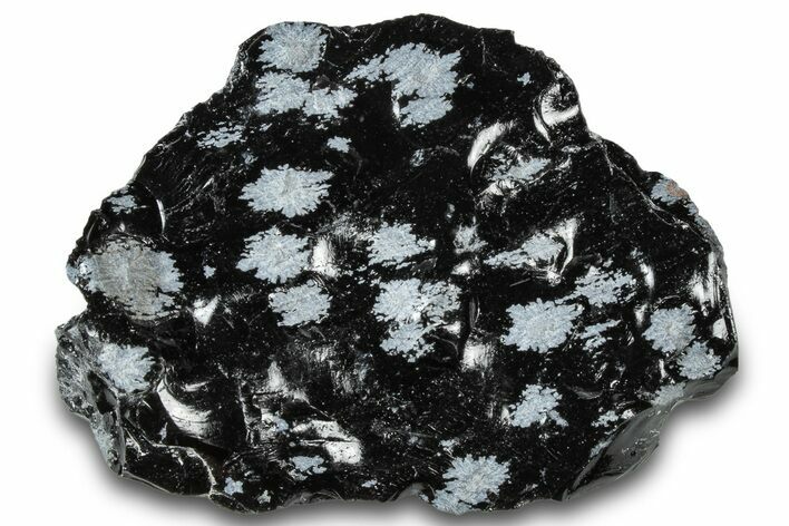 Snowflake Obsidian Section - Utah #300247